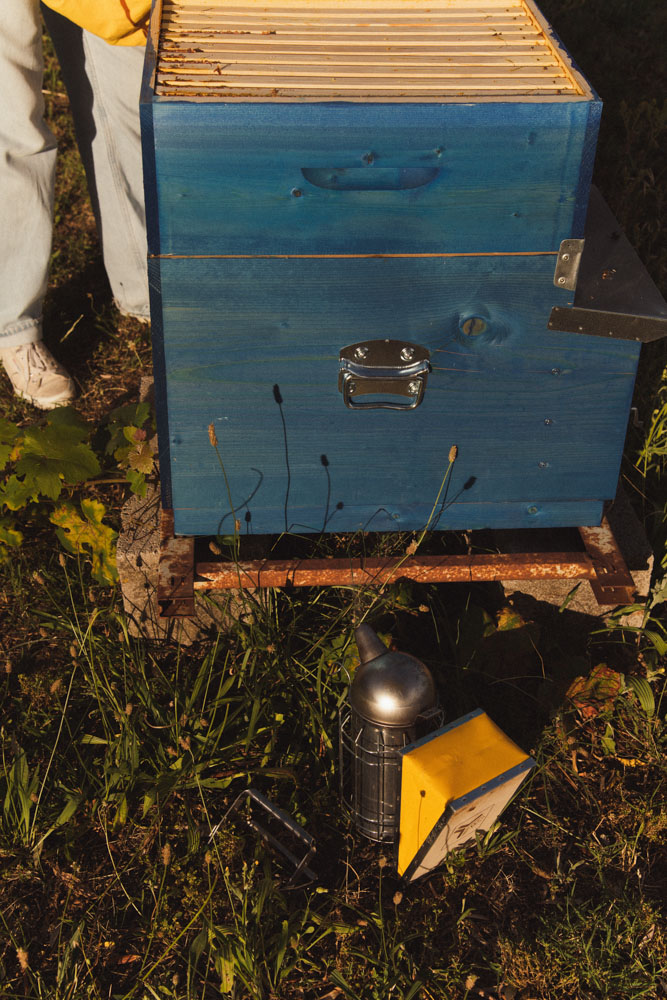 Foto di Ludovica Barone Photographer