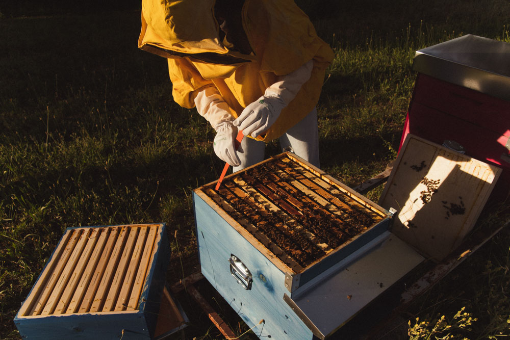 Foto di Ludovica Barone Photographer