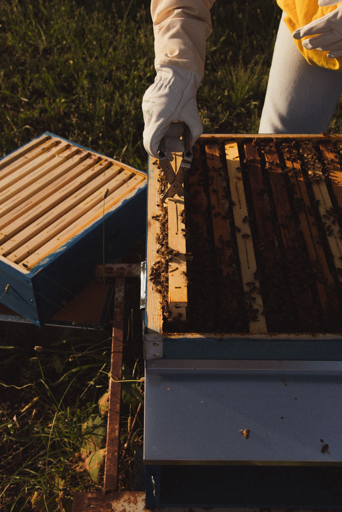 Foto di Ludovica Barone Photographer