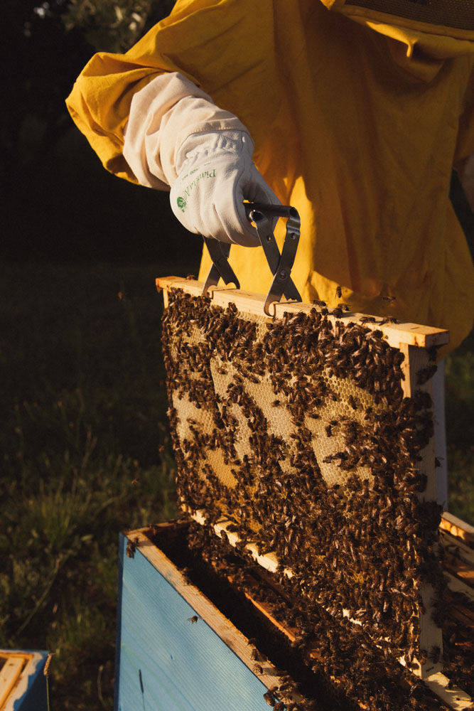 Foto di Ludovica Barone Photographer