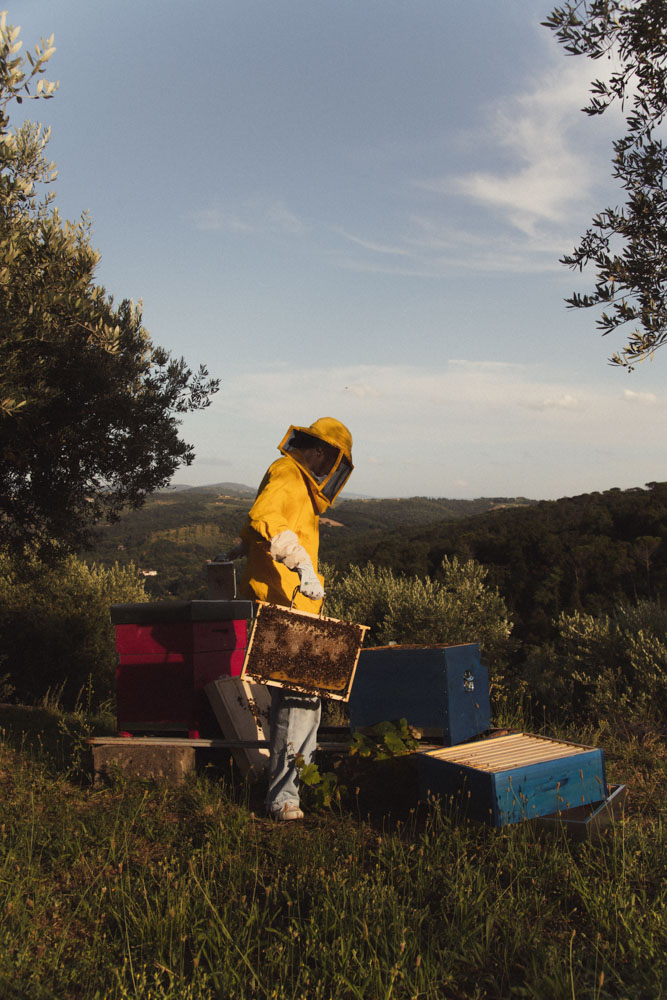 Foto di Ludovica Barone Photographer