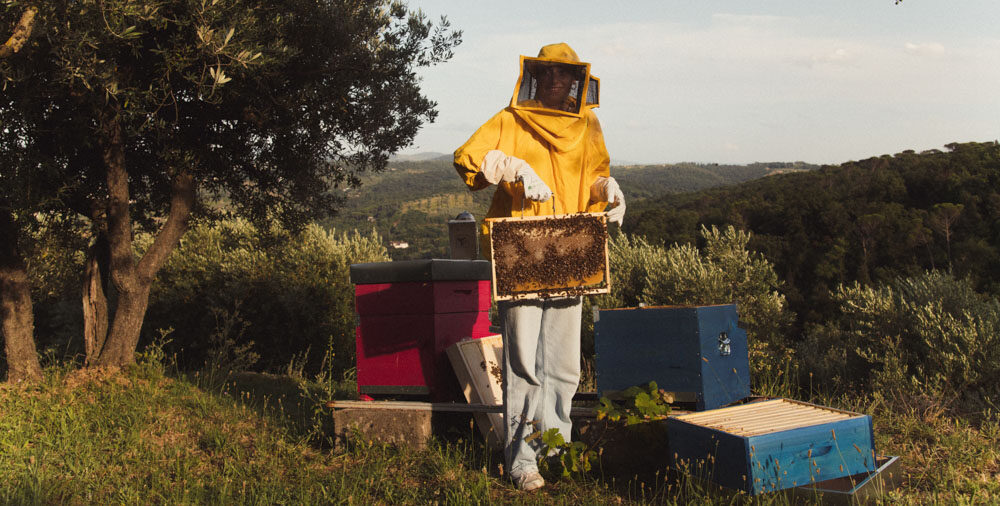 Foto di Ludovica Barone Photographer
