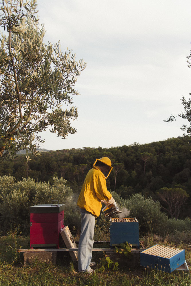 Foto di Ludovica Barone Photographer