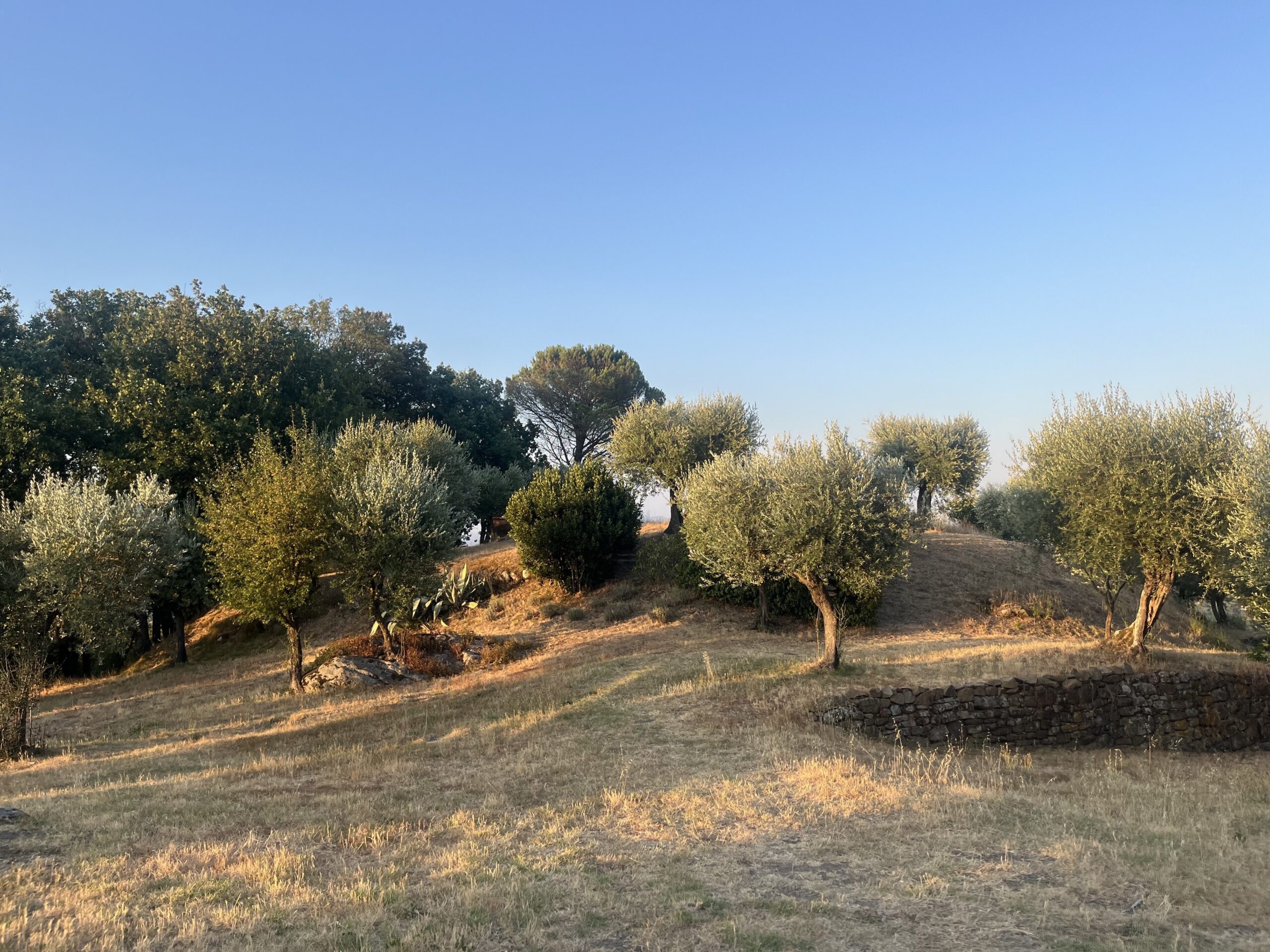 Incontri e Tramonti Luglio al Grumolo
